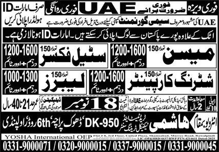 Shuttering Carpenter