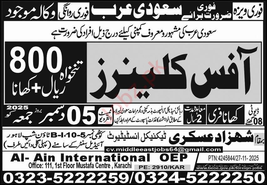 Cleaners Jobs