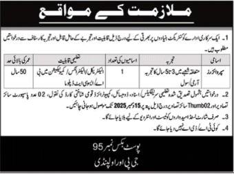 Government Organization