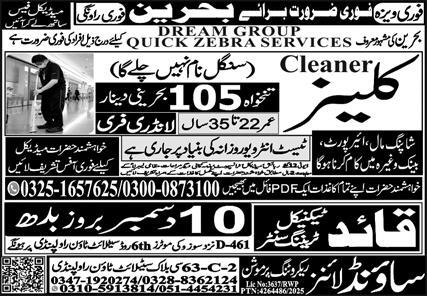 Cleaners Jobs