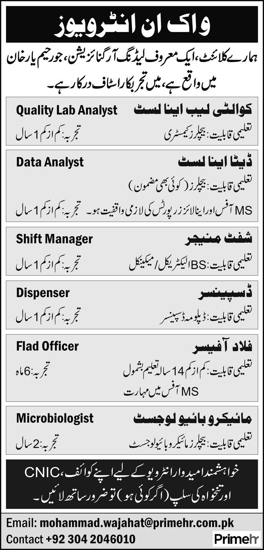 Organization Jobs