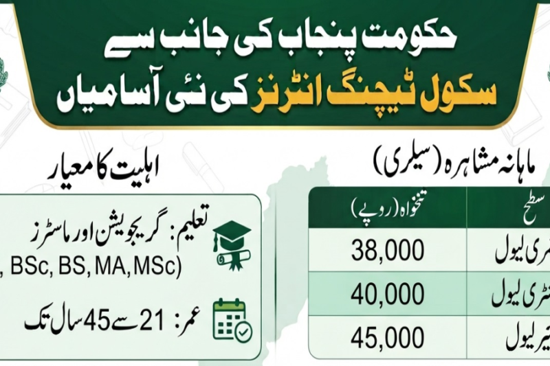 STI Jobs 2026 Details and Online Apply